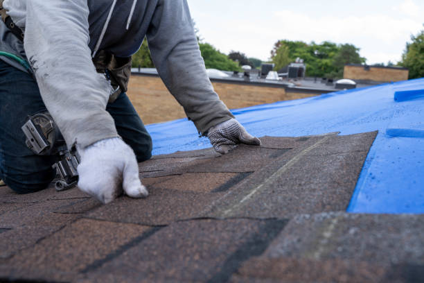 Quick and Trustworthy Emergency Roof Repair Services in Ridley Park, PA